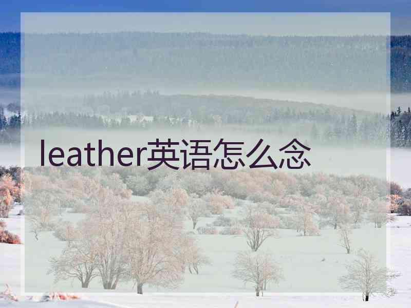 leather英语怎么念