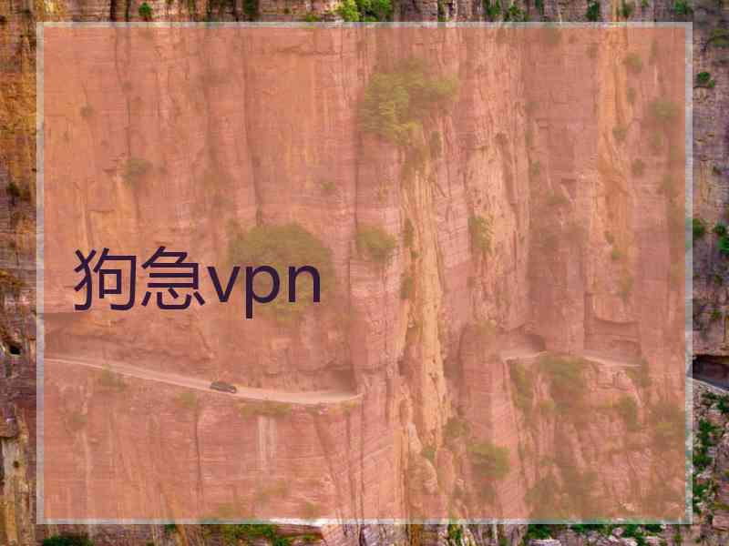 狗急vpn