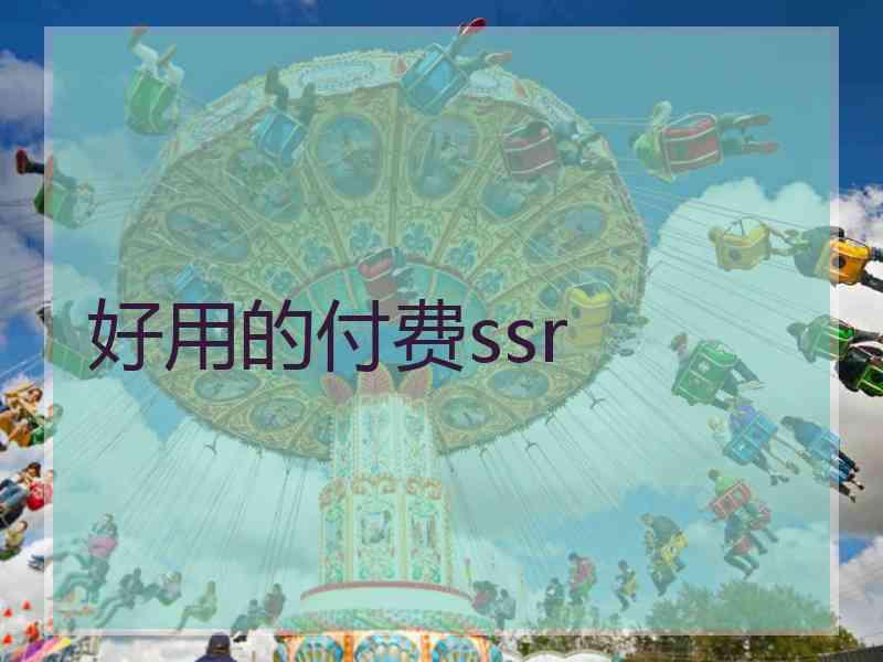 好用的付费ssr