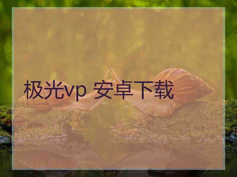 极光vp 安卓下载