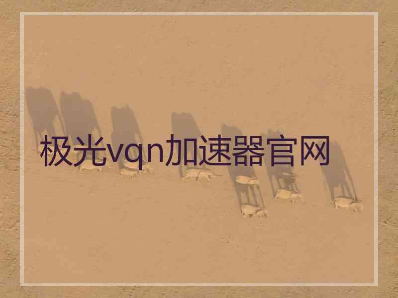 极光vqn加速器官网