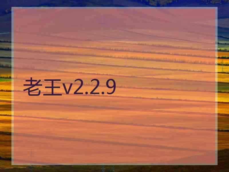 老王v2.2.9