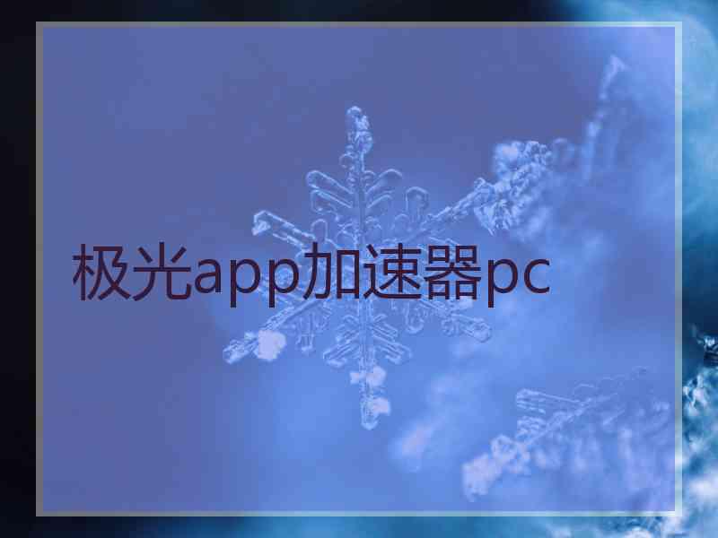 极光app加速器pc