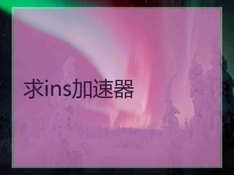 求ins加速器