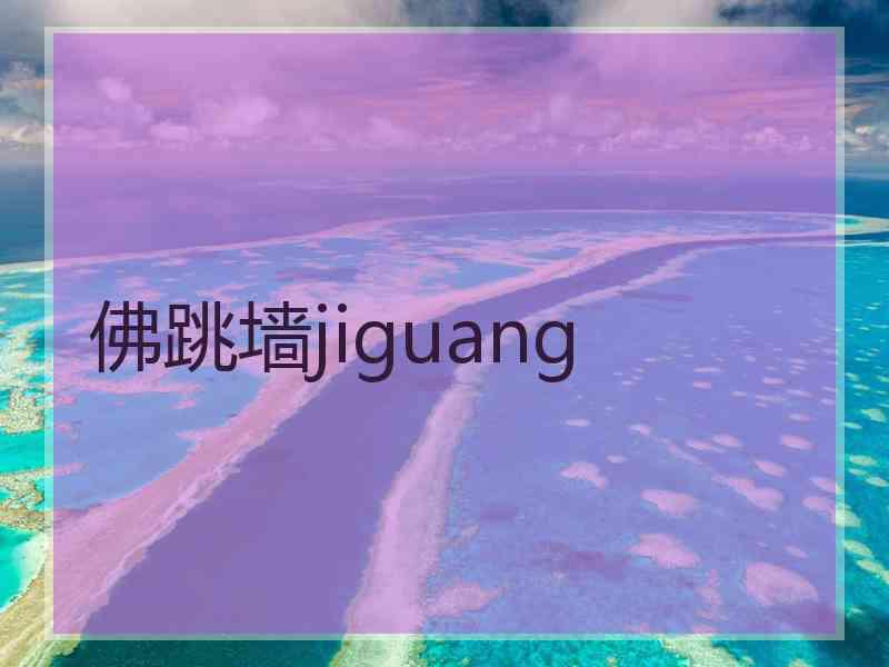 佛跳墙jiguang