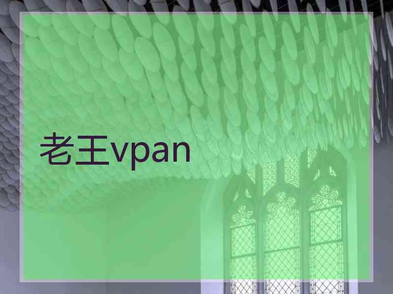 老王vpan