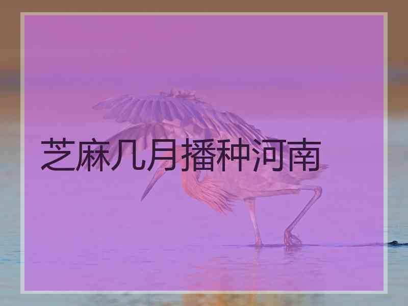 芝麻几月播种河南