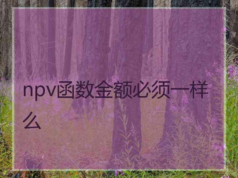 npv函数金额必须一样么