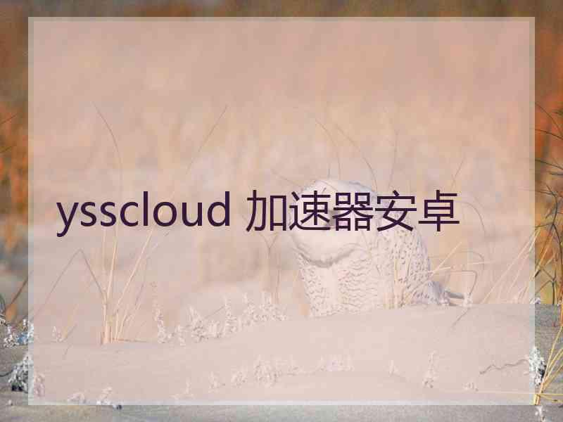 ysscloud 加速器安卓