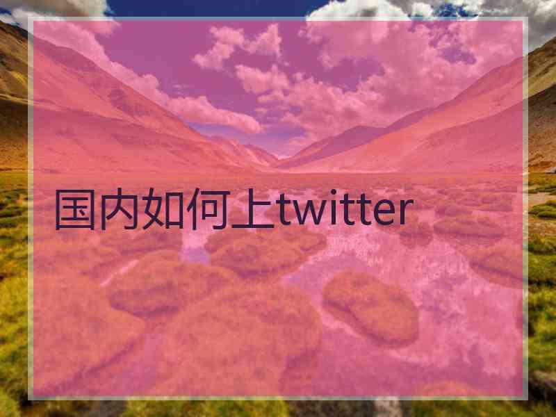 国内如何上twitter