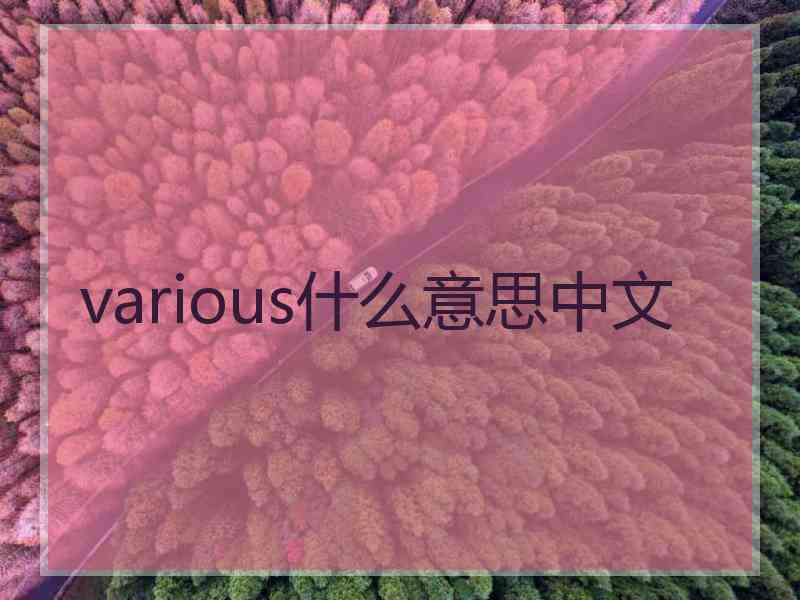 various什么意思中文