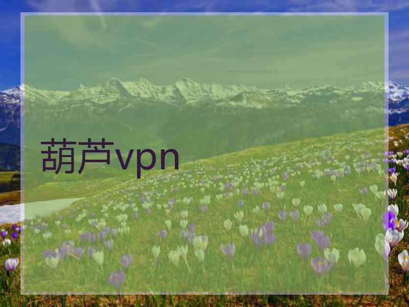 葫芦vpn