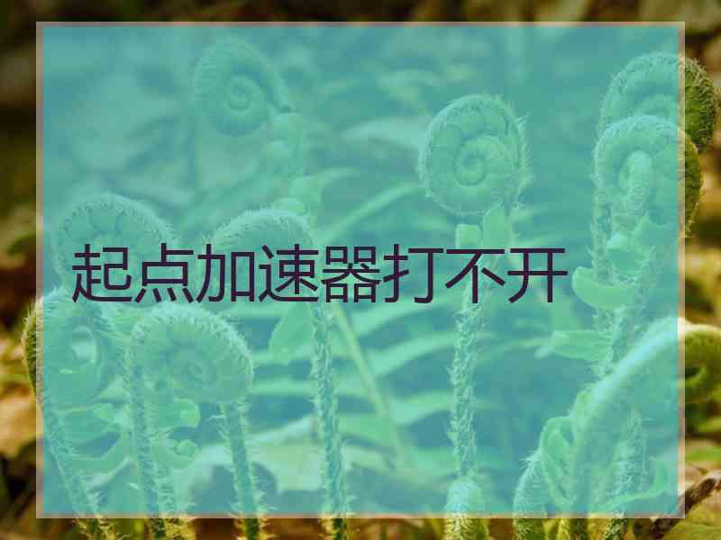 起点加速器打不开