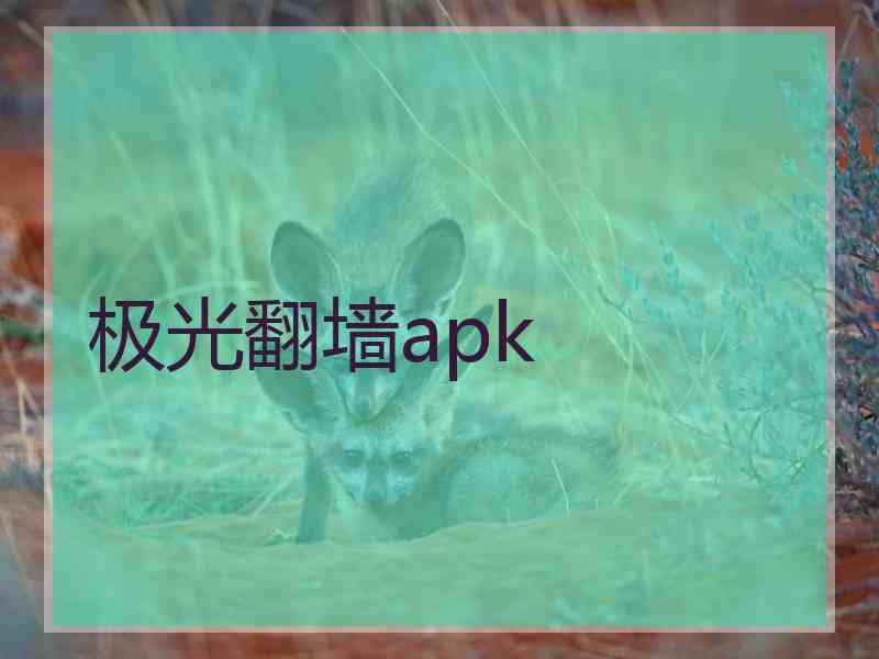 极光翻墙apk