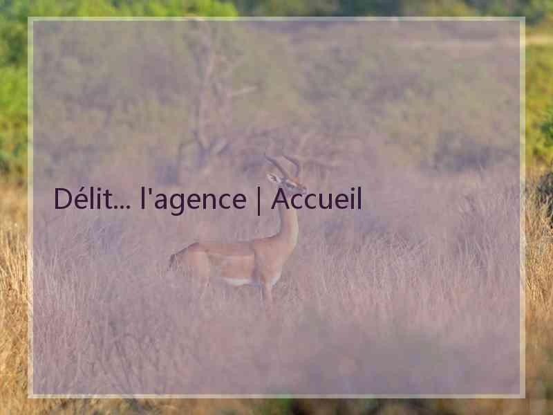 Délit... l'agence | Accueil