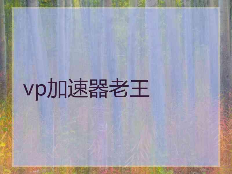 vp加速器老王