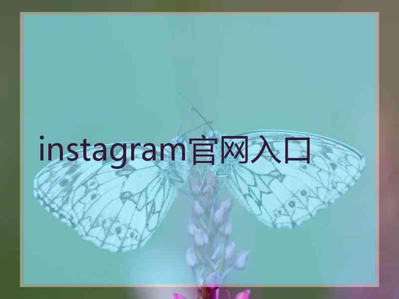 instagram官网入口