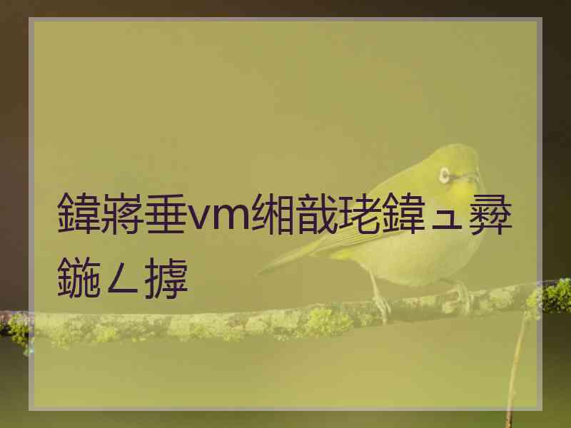 鍏嶈垂vm缃戠珯鍏ュ彛鍦ㄥ摢