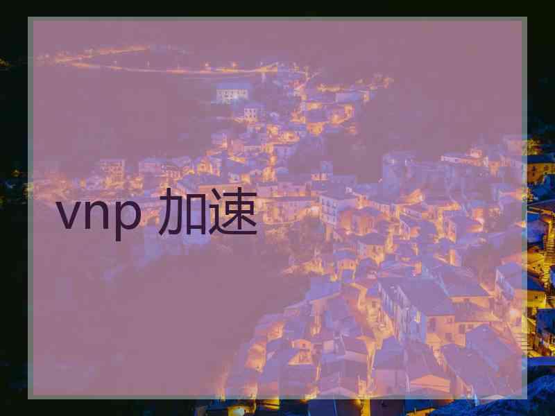 vnp 加速