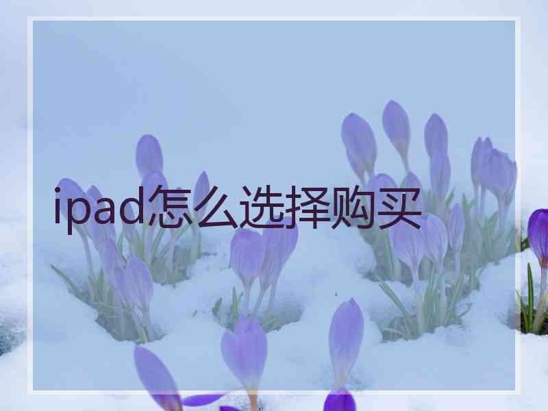 ipad怎么选择购买