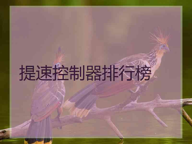 提速控制器排行榜