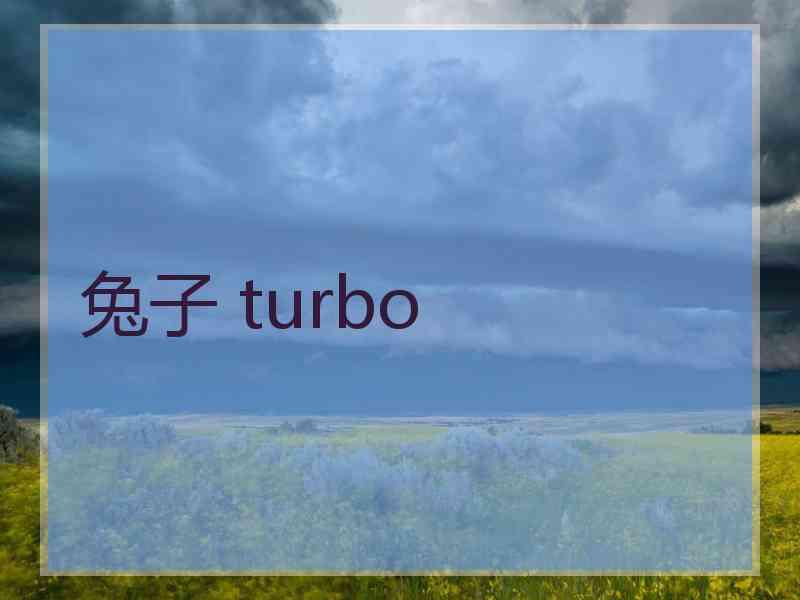 兔子 turbo