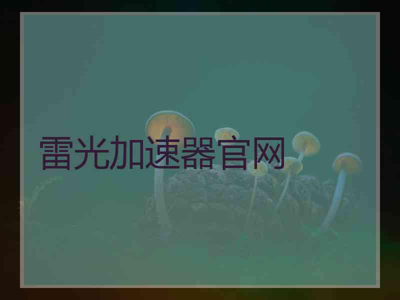 雷光加速器官网