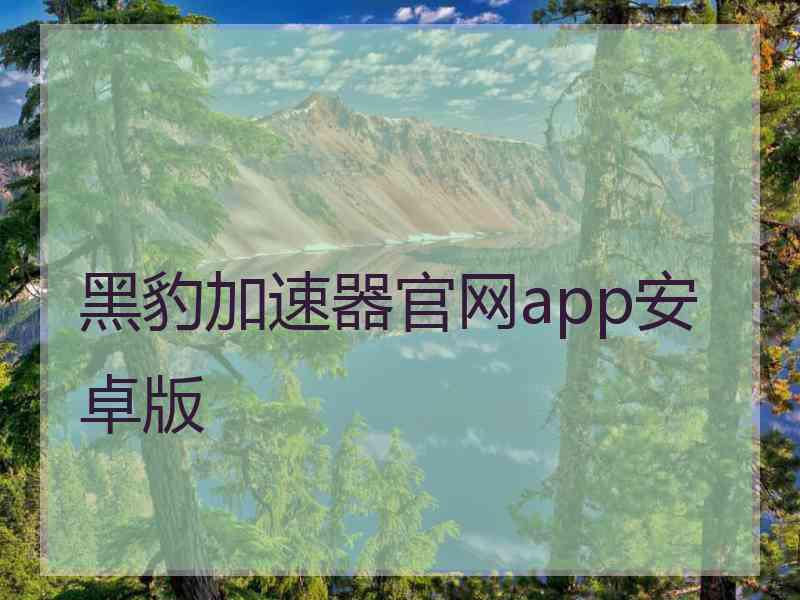 黑豹加速器官网app安卓版