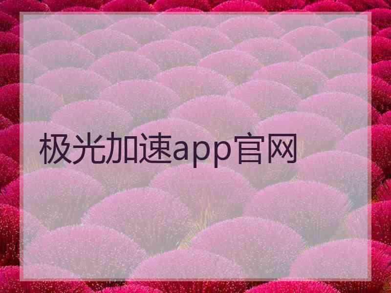 极光加速app官网