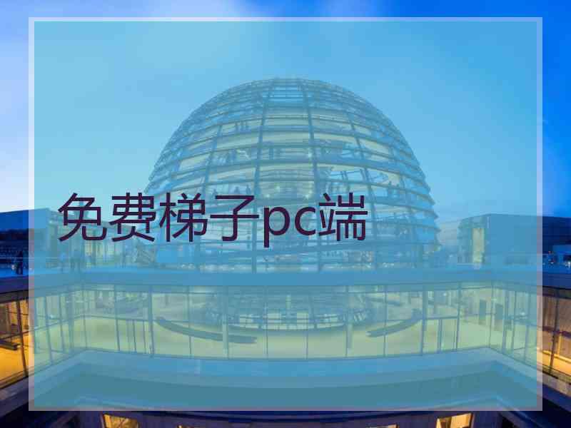 免费梯子pc端