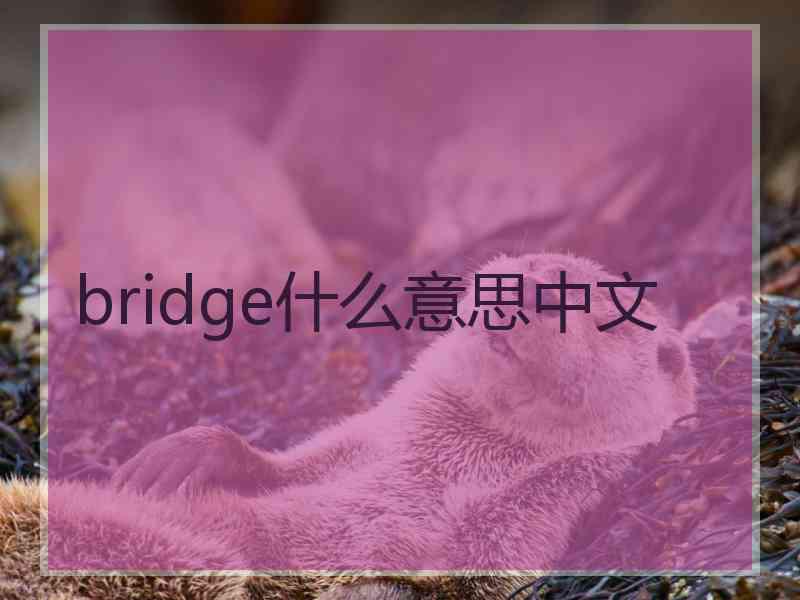 bridge什么意思中文