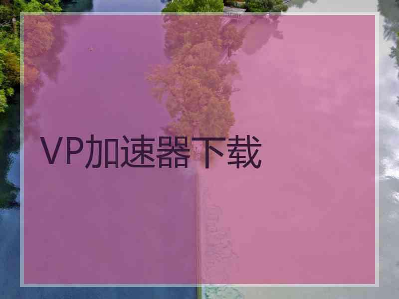 VP加速器下载