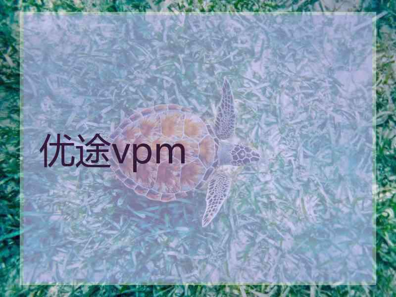 优途vpm