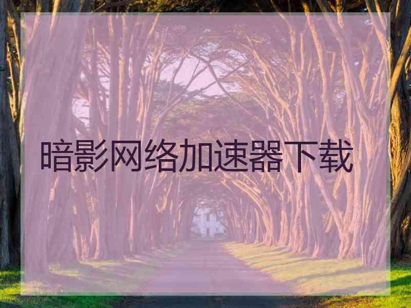 暗影网络加速器下载