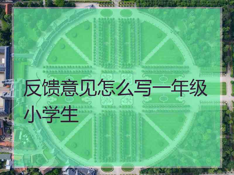 反馈意见怎么写一年级小学生