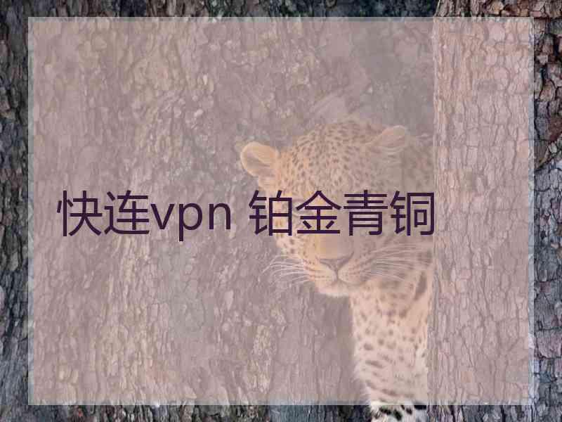 快连vpn 铂金青铜