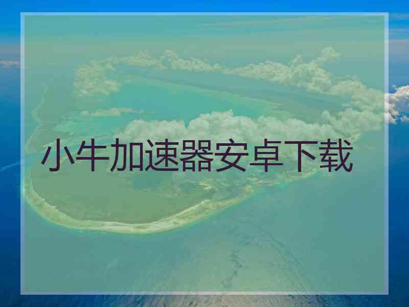 小牛加速器安卓下载