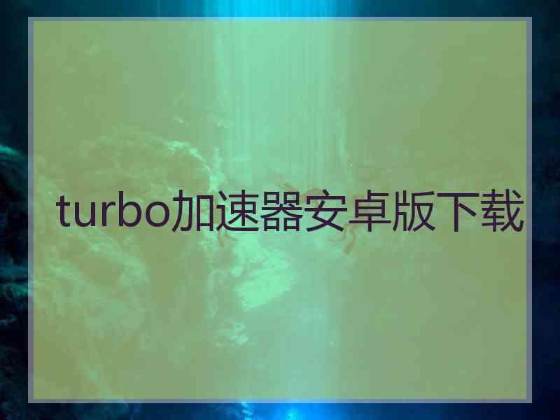 turbo加速器安卓版下载