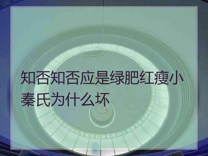 知否知否应是绿肥红瘦小秦氏为什么坏