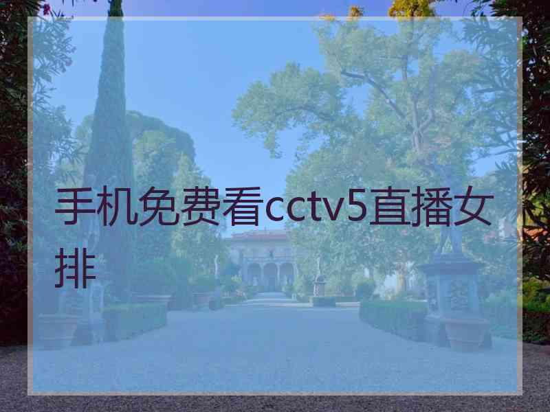 手机免费看cctv5直播女排