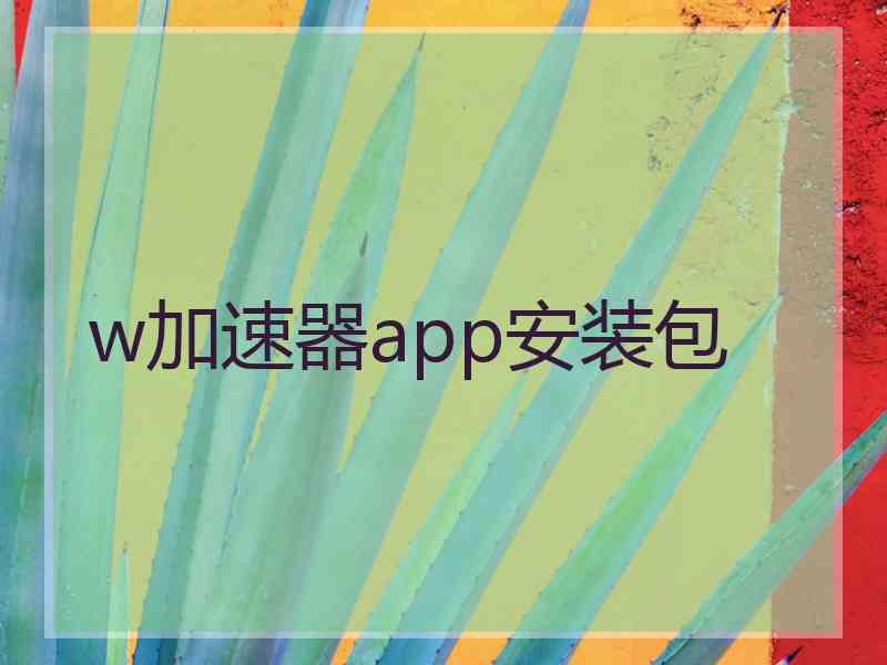 w加速器app安装包