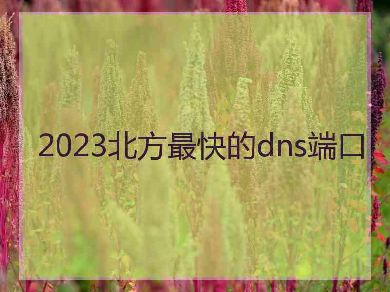 2023北方最快的dns端口