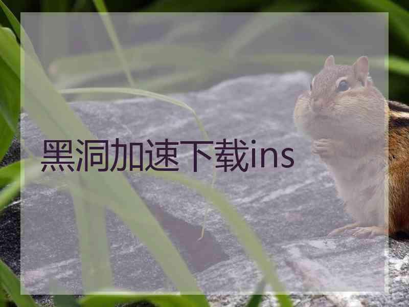 黑洞加速下载ins