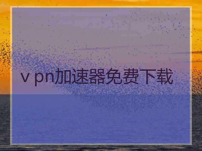 ⅴpn加速器免费下载