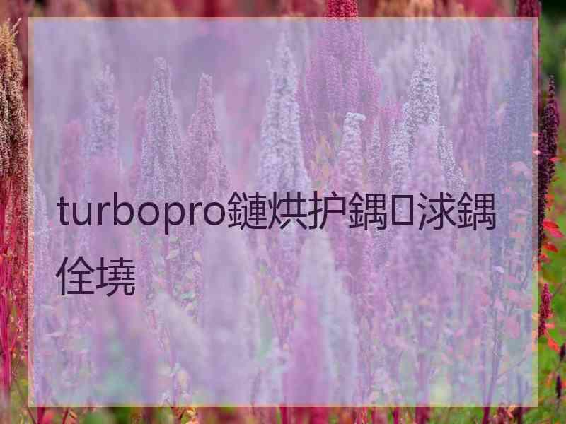 turbopro鏈烘护鍝浗鍝佺墝