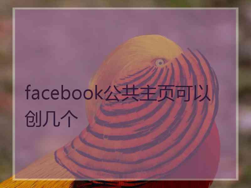 facebook公共主页可以创几个