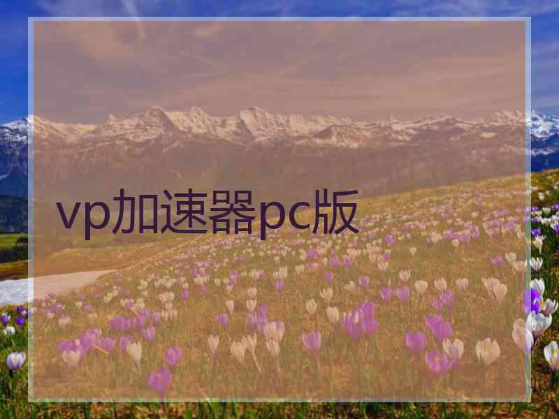 vp加速器pc版