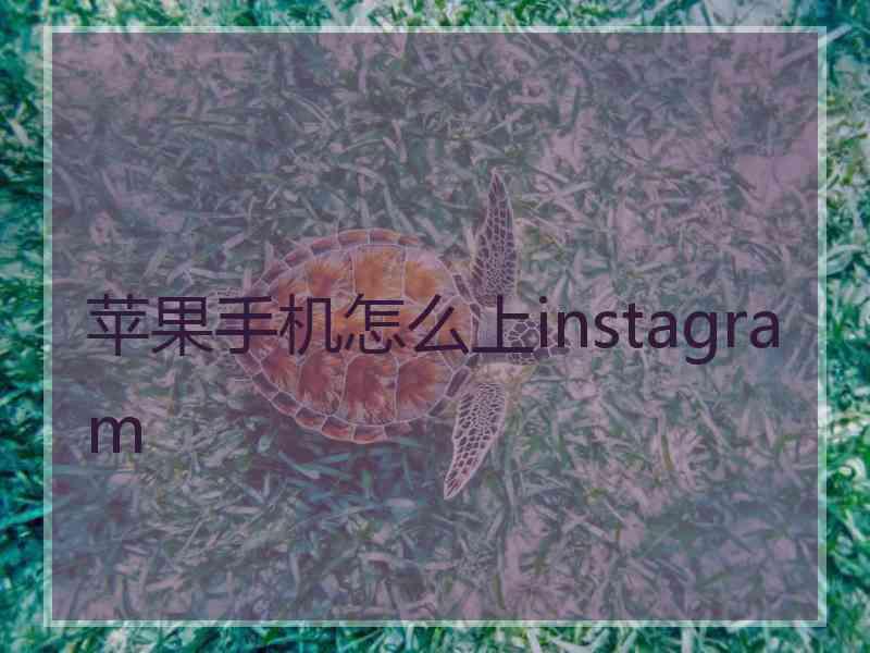 苹果手机怎么上instagram