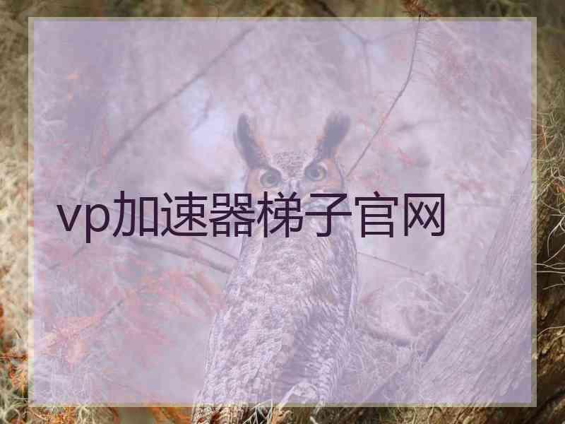 vp加速器梯子官网