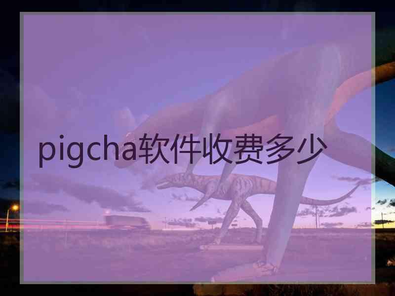 pigcha软件收费多少